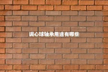 调心球轴承用途有哪些 